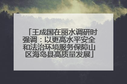 王成国在丽水调研时强调：以更高水平安全和法治环境服务保障山区海岛县高质量发展