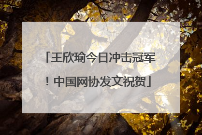 王欣瑜今日冲击冠军！中国网协发文祝贺