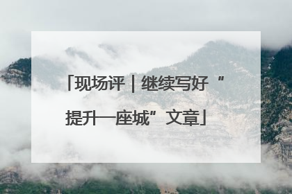 现场评｜继续写好“提升一座城”文章
