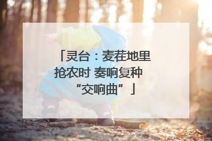 灵台：麦茬地里抢农时 奏响复种“交响曲”