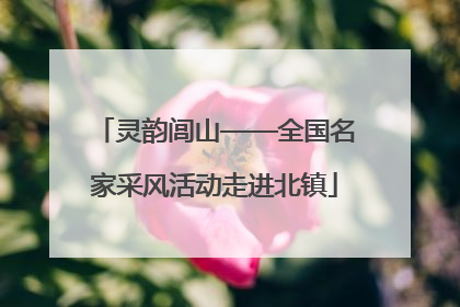 灵韵闾山——全国名家采风活动走进北镇