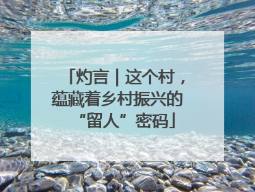 灼言｜这个村，蕴藏着乡村振兴的“留人”密码