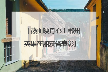 热血映丹心！郴州英雄在湘获省表彰