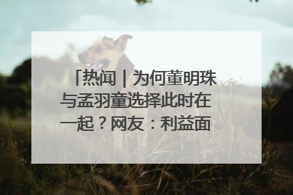 热闻｜为何董明珠与孟羽童选择此时在一起？网友：利益面前啥都能和解
