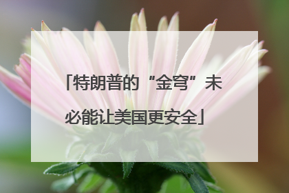 特朗普的“金穹”未必能让美国更安全