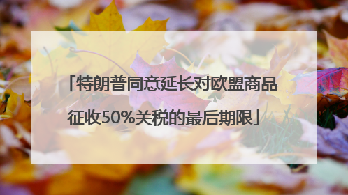 特朗普同意延长对欧盟商品征收50%关税的最后期限