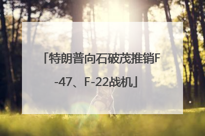 特朗普向石破茂推销F-47、F-22战机