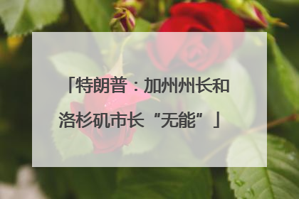 特朗普：加州州长和洛杉矶市长“无能”