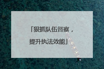 狠抓队伍督察，提升执法效能