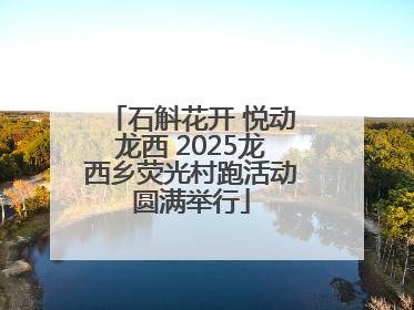 石斛花开 悦动龙西 2025龙西乡荧光村跑活动圆满举行