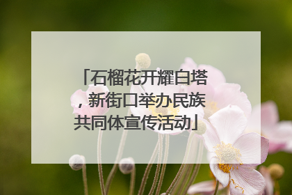 石榴花开耀白塔，新街口举办民族共同体宣传活动