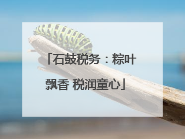 石鼓税务：粽叶飘香 税润童心