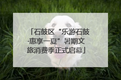 石鼓区“乐游石鼓·惠享一夏”暑期文旅消费季正式启幕