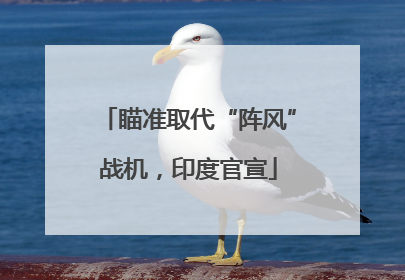 瞄准取代“阵风”战机，印度官宣
