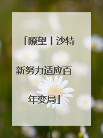 瞭望丨沙特新努力适应百年变局