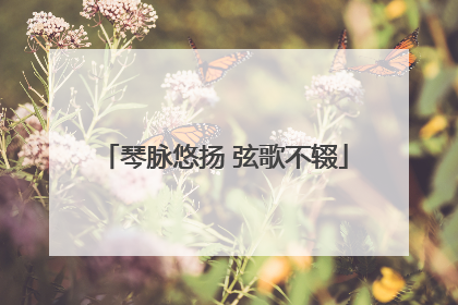 琴脉悠扬 弦歌不辍