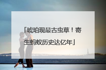 琥珀现最古虫草！寄生蚂蚁历史达亿年