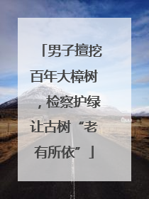 男子擅挖百年大樟树，检察护绿让古树“老有所依”