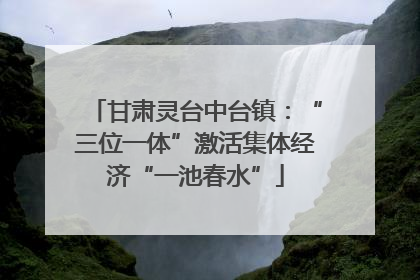 甘肃灵台中台镇：“三位一体”激活集体经济“一池春水”