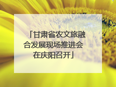 甘肃省农文旅融合发展现场推进会在庆阳召开