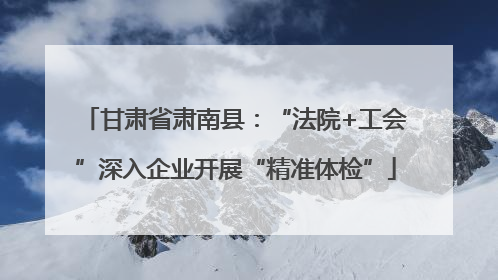 甘肃省肃南县：“法院+工会”深入企业开展“精准体检”