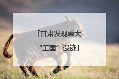 甘肃发现重大“王国”遗迹