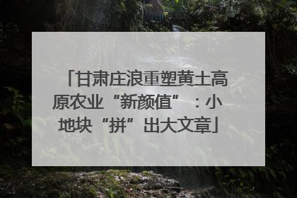 甘肃庄浪重塑黄土高原农业“新颜值”：小地块“拼”出大文章