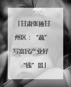 甘肃张掖甘州区：“蔬”写富民产业好“钱”景