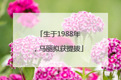 生于1988年，马丽拟获提拔