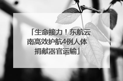 生命接力！东航云南高效护航4例人体捐献器官运输