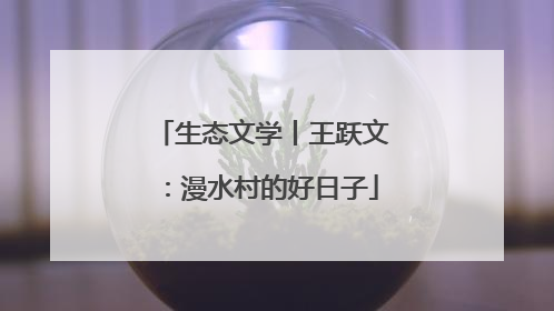 生态文学丨王跃文：漫水村的好日子