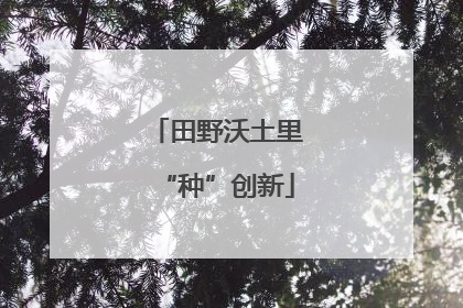 田野沃土里“种”创新