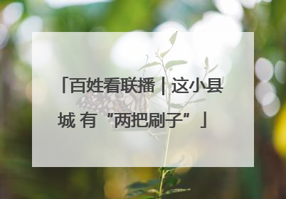 百姓看联播｜这小县城 有“两把刷子”