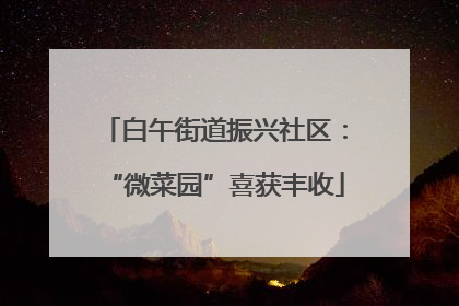白午街道振兴社区：“微菜园”喜获丰收