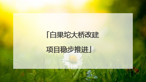 白果坨大桥改建项目稳步推进