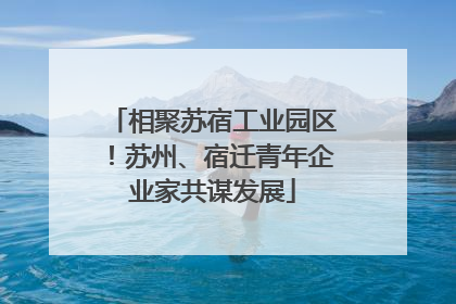 相聚苏宿工业园区！苏州、宿迁青年企业家共谋发展