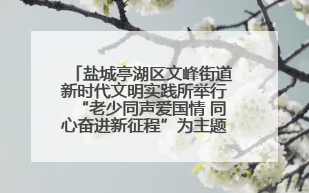 盐城亭湖区文峰街道新时代文明实践所举行“老少同声爱国情 同心奋进新征程”为主题的红色文化活动