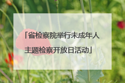 省检察院举行未成年人主题检察开放日活动