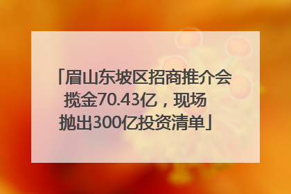 眉山东坡区招商推介会揽金70.43亿，现场抛出300亿投资清单