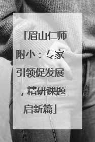 眉山仁师附小：专家引领促发展，精研课题启新篇