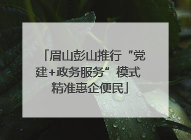 眉山彭山推行“党建+政务服务”模式 精准惠企便民