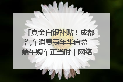 真金白银补贴！成都汽车消费嘉年华启幕 端午购车正当时｜网络中国节·端午