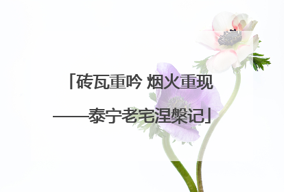 砖瓦重吟 烟火重现——泰宁老宅涅槃记