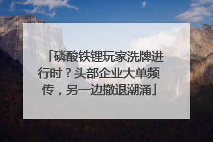 磷酸铁锂玩家洗牌进行时？头部企业大单频传，另一边撤退潮涌