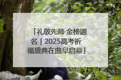 礼敬先师·金榜题名｜2025高考祈福盛典在曲阜启幕
