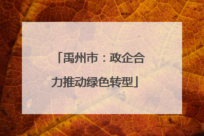 禹州市：政企合力推动绿色转型