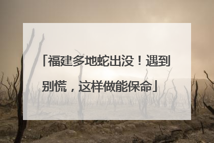 福建多地蛇出没！遇到别慌，这样做能保命