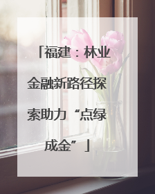 福建：林业金融新路径探索助力“点绿成金”