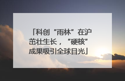 科创“雨林”在沪茁壮生长，“硬核”成果吸引全球目光