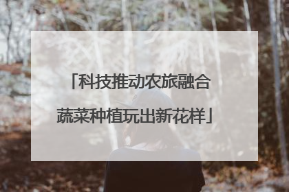 科技推动农旅融合 蔬菜种植玩出新花样